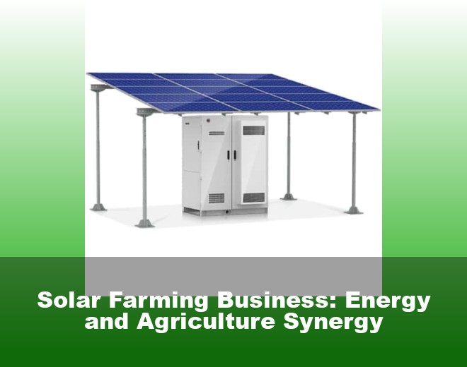 Solar Farming Business: Energy and Agriculture Synergy
